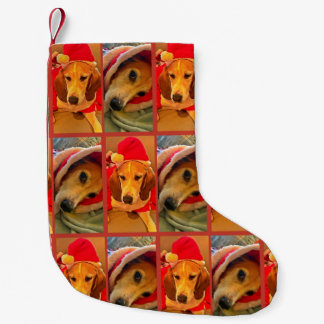 Goggie Jul Stock av Tamara Diaz Art Liten Julstrumpa