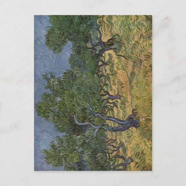 Gogh, Vincent van Olivenhain 1889 Technique 'l auf Vykort (Framsida)