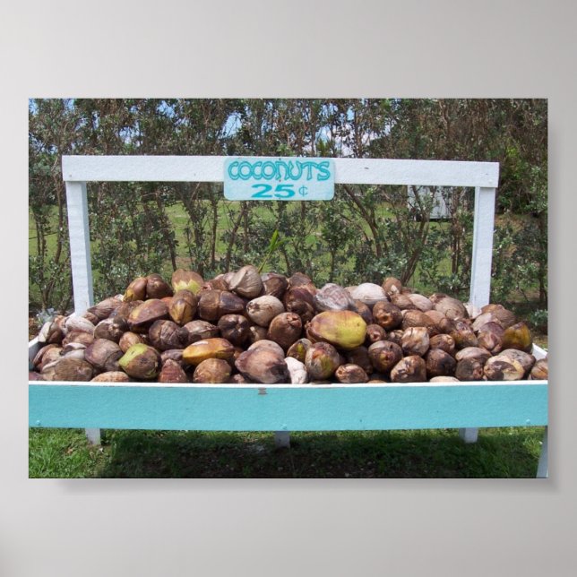 Going Coconuts Poster (Framsidan)