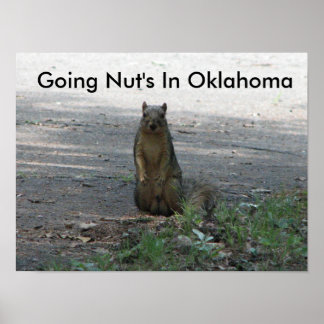 Going Nöt In Oklahoma Poster