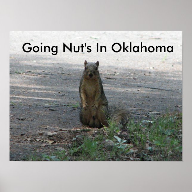Going Nöt In Oklahoma Poster (Framsidan)