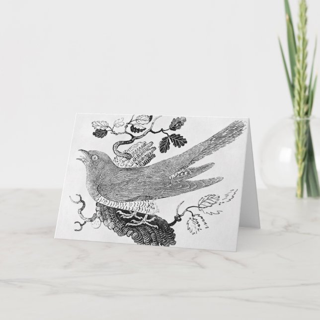 Göken Kort (Framsida)