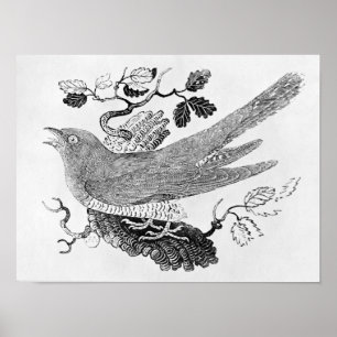 Göken Poster