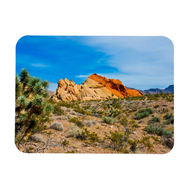 Gold Butte National Monument, Whitney Pocket Magnet (Horisontell)