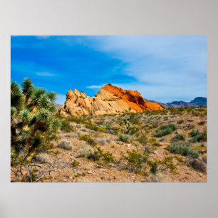 Gold Butte National Monument, Whitney Pocket Poster