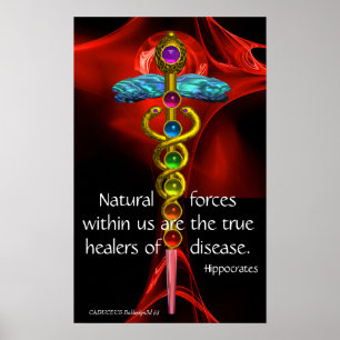 GOLD CADUCEUS, 7 CHAKRAS, Healing, Medical,Yoga Poster