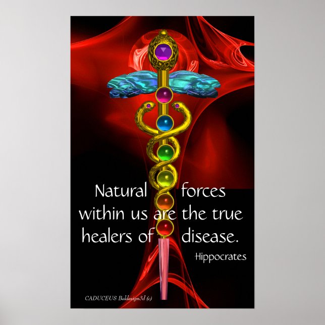GOLD CADUCEUS, 7 CHAKRAS, Healing, Medical,Yoga Poster (Framsidan)