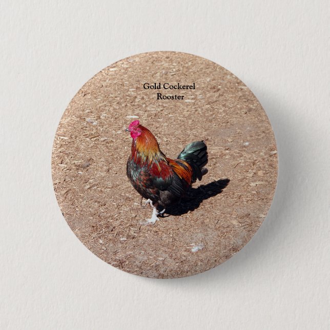 Gold Cockerel Rooster button Knapp (Framsida)