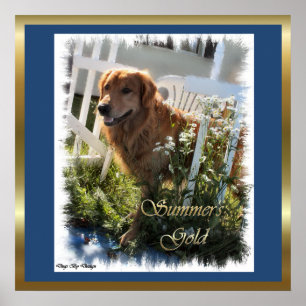 Gold Retriever ger konstutskrifter Poster