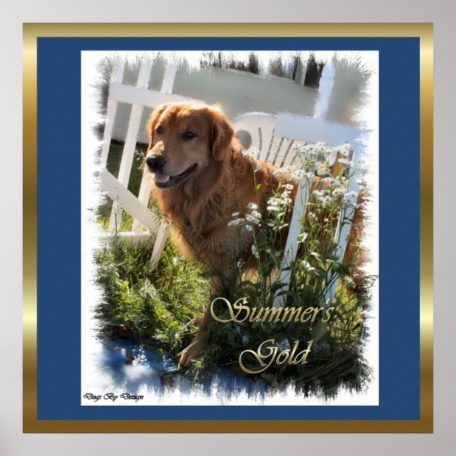 Gold Retriever ger konstutskrifter Poster (Framsidan)
