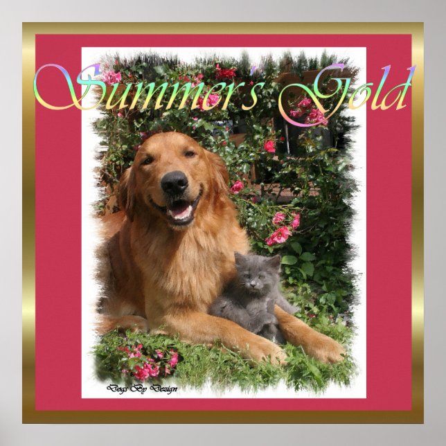 Gold Retriever ger konstutskrifter Poster (Framsidan)