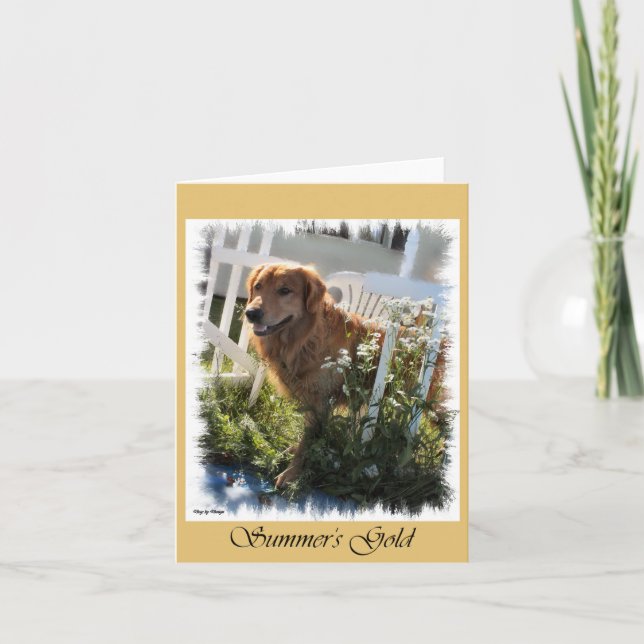Gold Retriever presenterar konturanteckningskort Kort (Framsida)