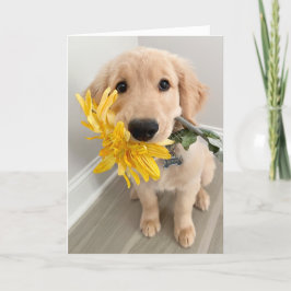 Gold Retriever-valp med blomma Mors dag Kort