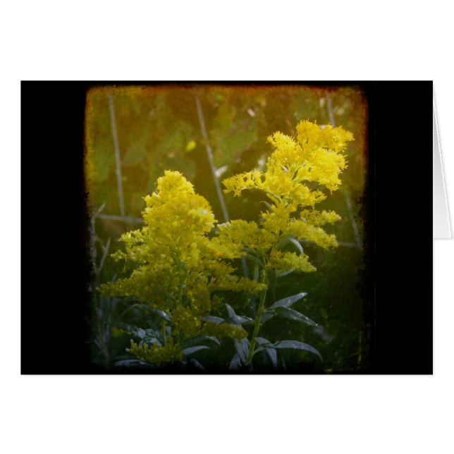 Golden 2 hälsningskort (Framsidan Horizontal)