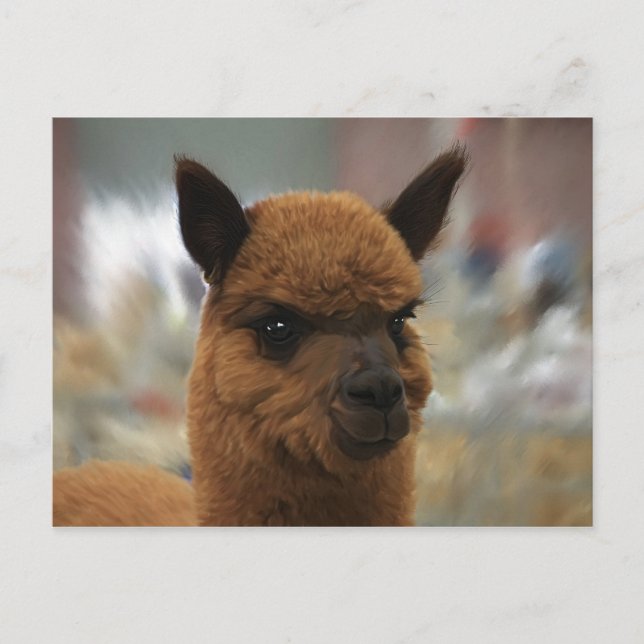 Golden Alpaca Vykort (Framsida)