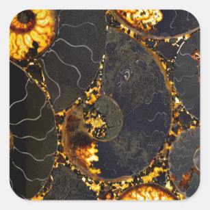 Golden Amber Black Nautilus snäcka mönster, fossil Fyrkantigt Klistermärke