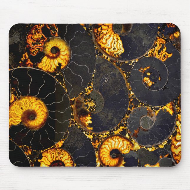 Golden Amber Black Nautilus snäcka mönster, fossil Musmatta (Framsidan)