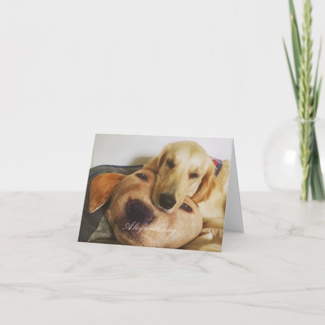 Golden and golden blank card kort (Framsida)