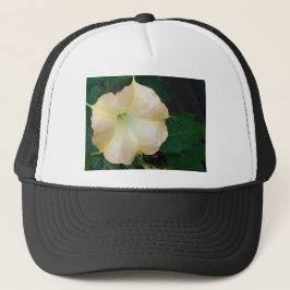 Golden Angels trumpet flower close up Truckerkeps