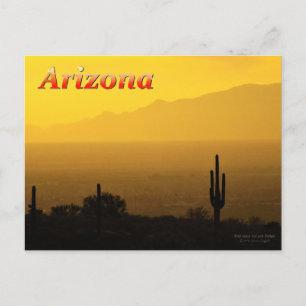 Golden Arizona Sunset with Saquaro Cactus Vykort