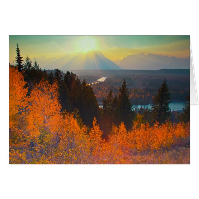 Golden Aspen ovanför ormfloden vid solnedgången Hälsningskort (Framsidan Horizontal)
