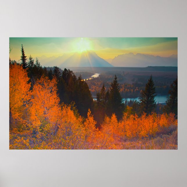 Golden Aspen ovanför ormfloden vid solnedgången Poster (Framsidan)