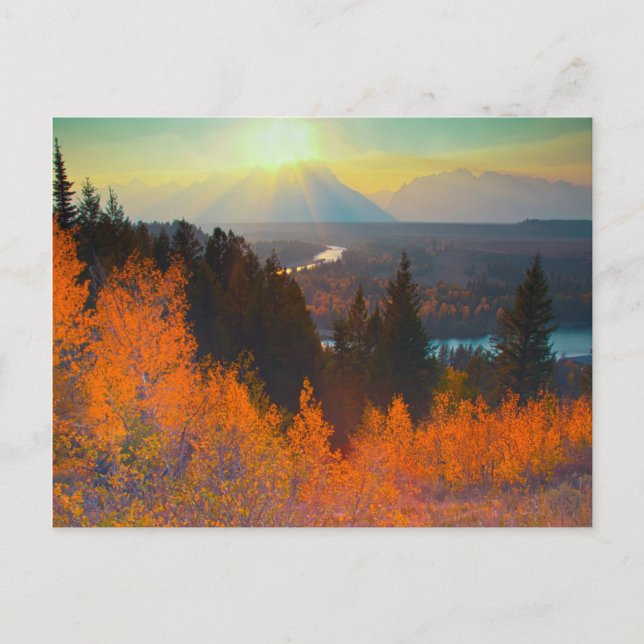 Golden Aspen över Ormen vid Sunset Vykort (Framsida)