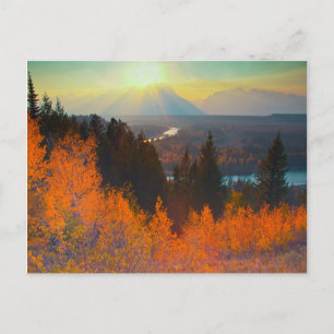 Golden Aspen över Ormen vid Sunset Vykort