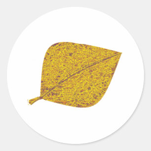 Golden Aspen Runt Klistermärke