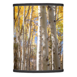 Golden Aspen Träd