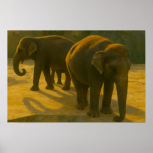 Golden Assions - Elephant Trio in Warm Light Poster