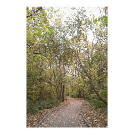 Golden Autumn Forest Path Fototryck