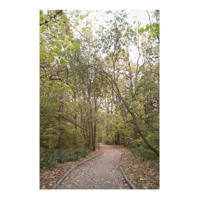 Golden Autumn Forest Path Fototryck (Framsidan)