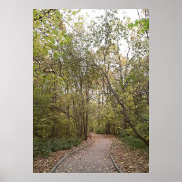 Golden Autumn Forest Path Poster