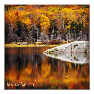 Golden Autumn Fototryck