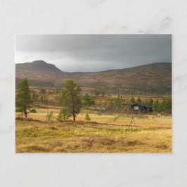 Golden Autumn på en norsk bergsplatå Vykort