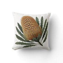 Golden Banksia Botanian Australian Native Flower