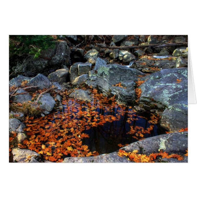 Golden Bassäng Hälsningskort (Framsidan Horizontal)