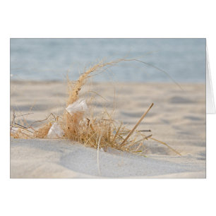 Golden Beach Grass and Feather Hälsningskort