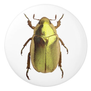 Golden Beetle Ceramic Knob Knopp