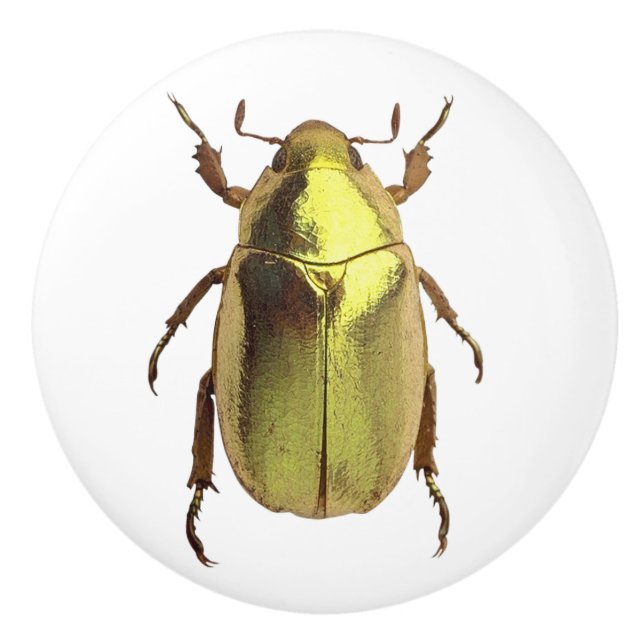 Golden Beetle Ceramic Knob Knopp (Framsidan)