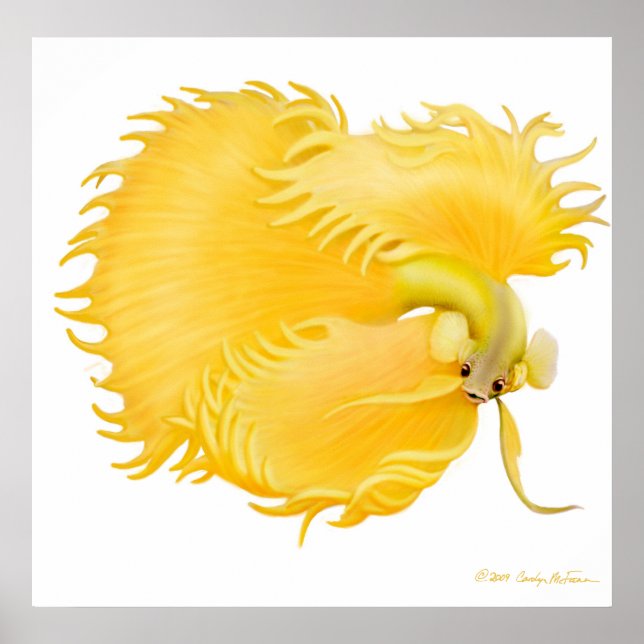 Golden Betta Fish Poster (Framsidan)