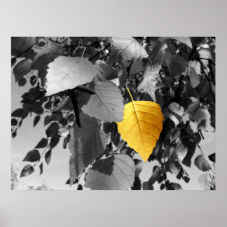 Golden Birch - Fine Art Photography Printing Poster