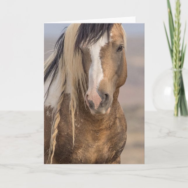 "Golden Boy"-anteckningskort Kort (Framsida)