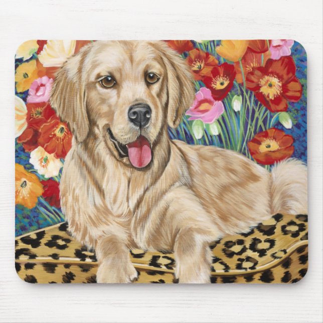 Golden Boy Retriever Musmatta (Framsidan)