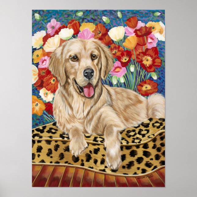 Golden Boy Retriever Poster (Framsidan)