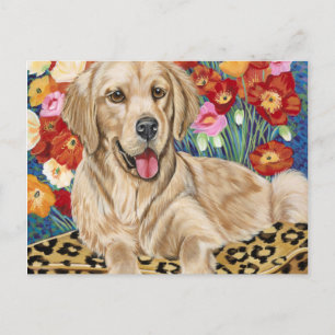 Golden Boy Retriever Vykort