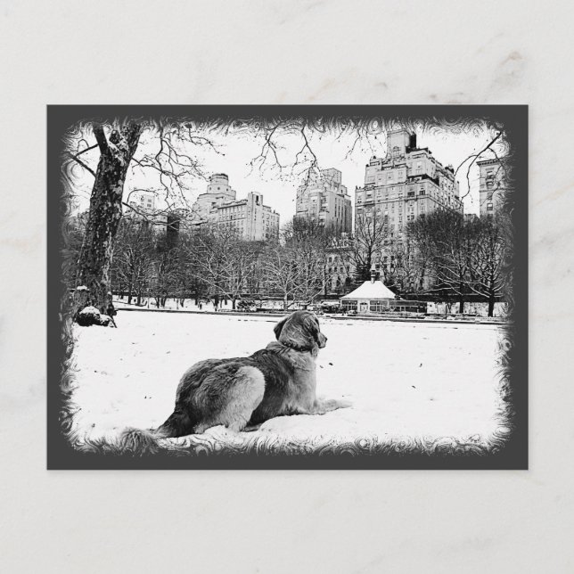 Golden by Conservatory Vatten-Central Park Postcar Vykort (Framsida)