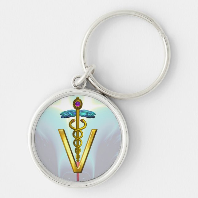 GOLDEN CADUCEUS VETERINÄR SYMBOL Teal Blue Vit Rund Silverfärgad Nyckelring (Framsidan)