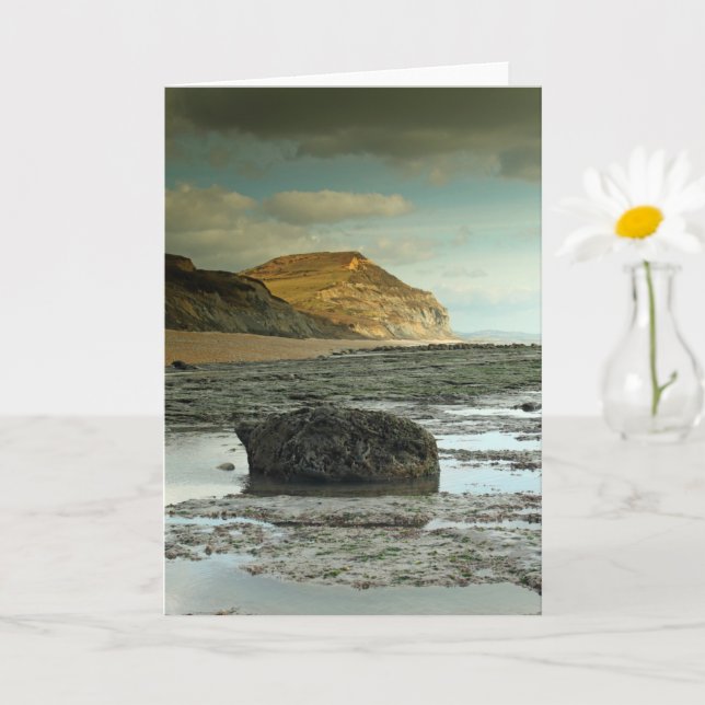Golden Cap, Dorset Kort (Liten växt)